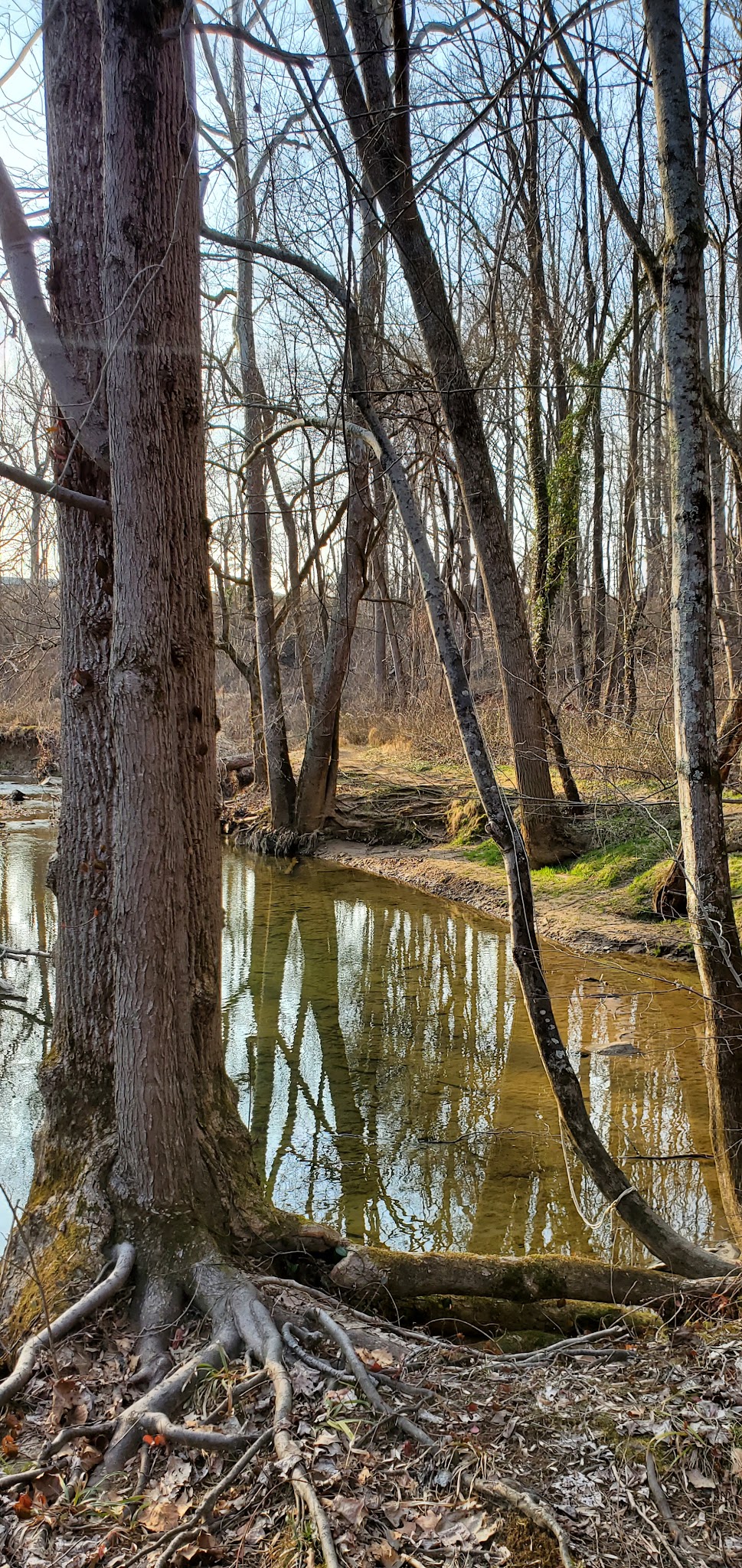 Potomac Hills Park - McLean, VA
