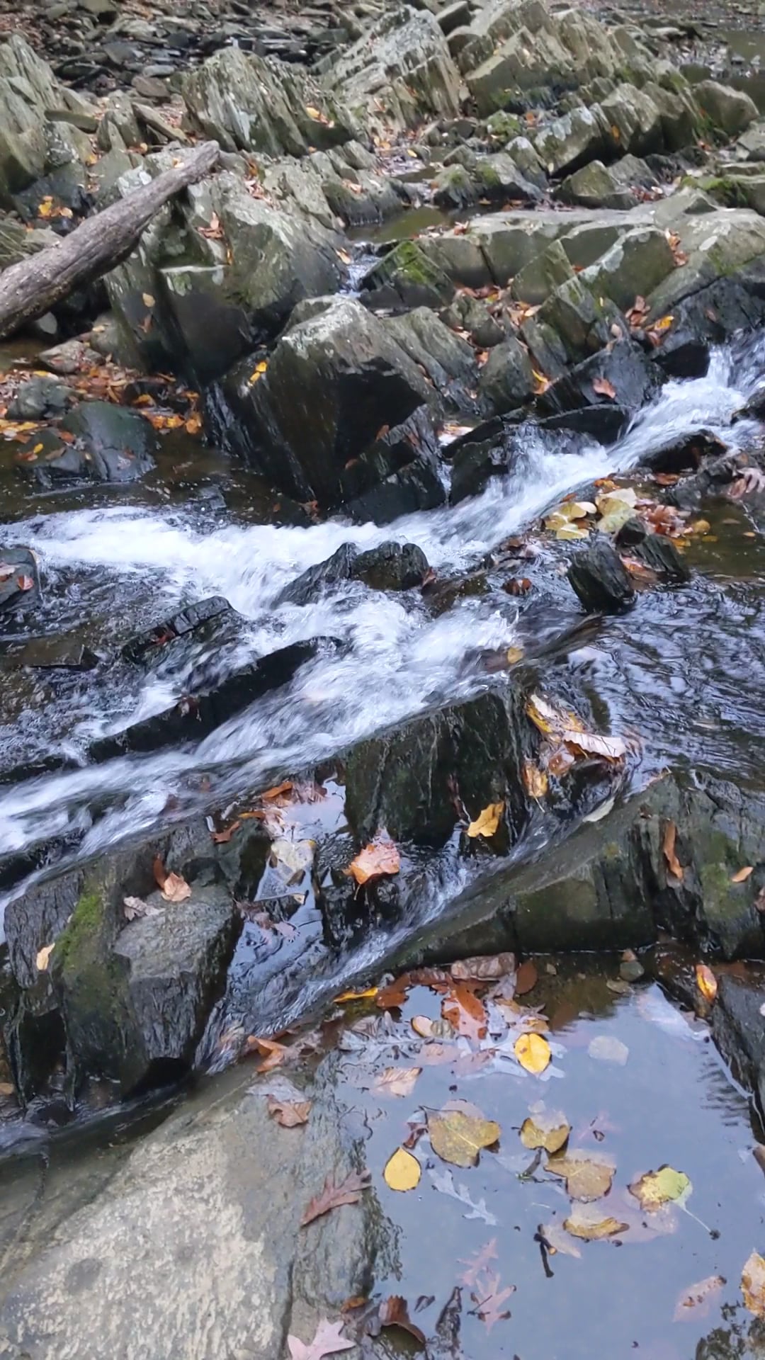 Scott’s Run Hiking Trail - McLean, VA