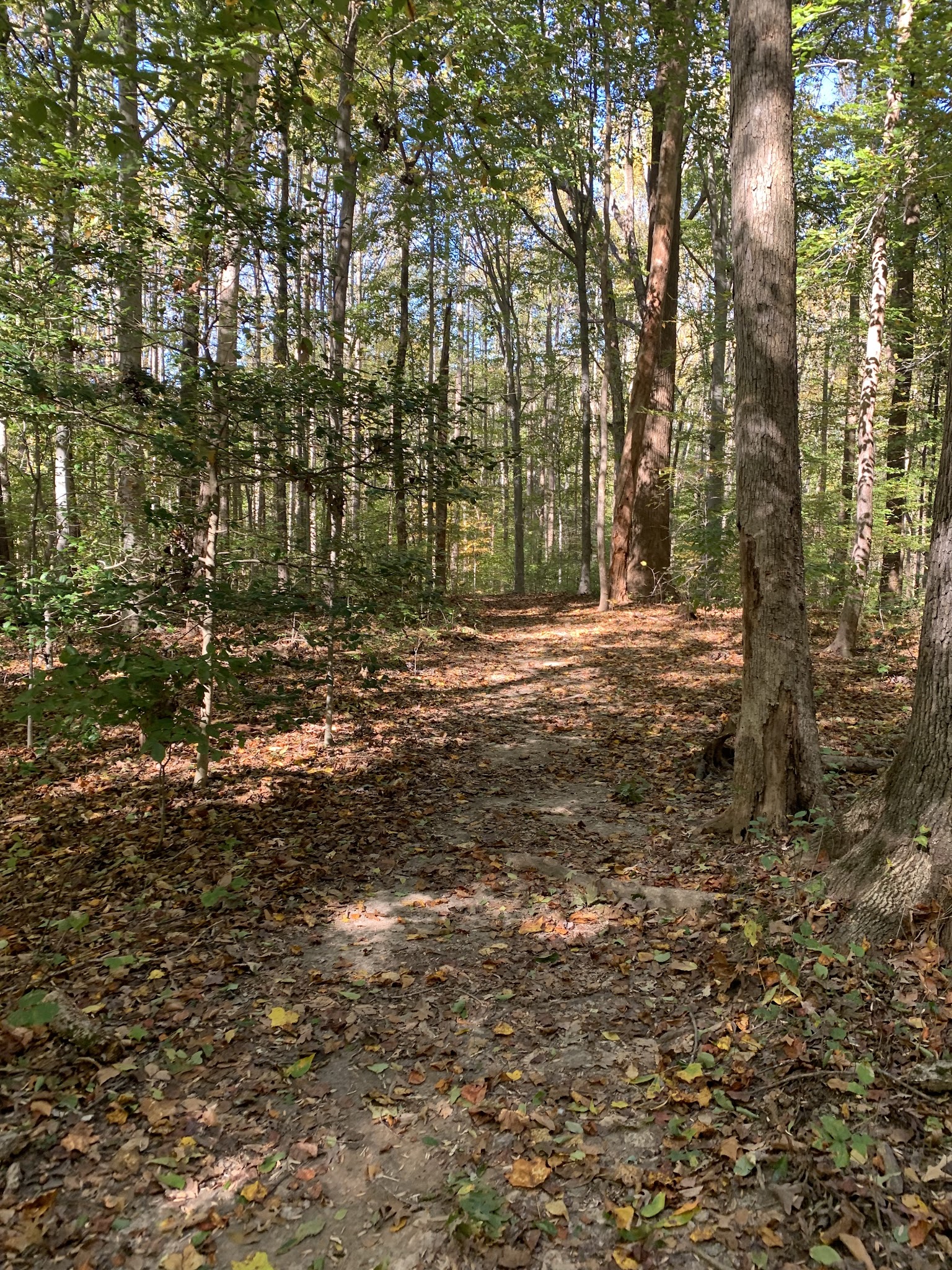 Scott’s Run Hiking Trail - McLean, VA