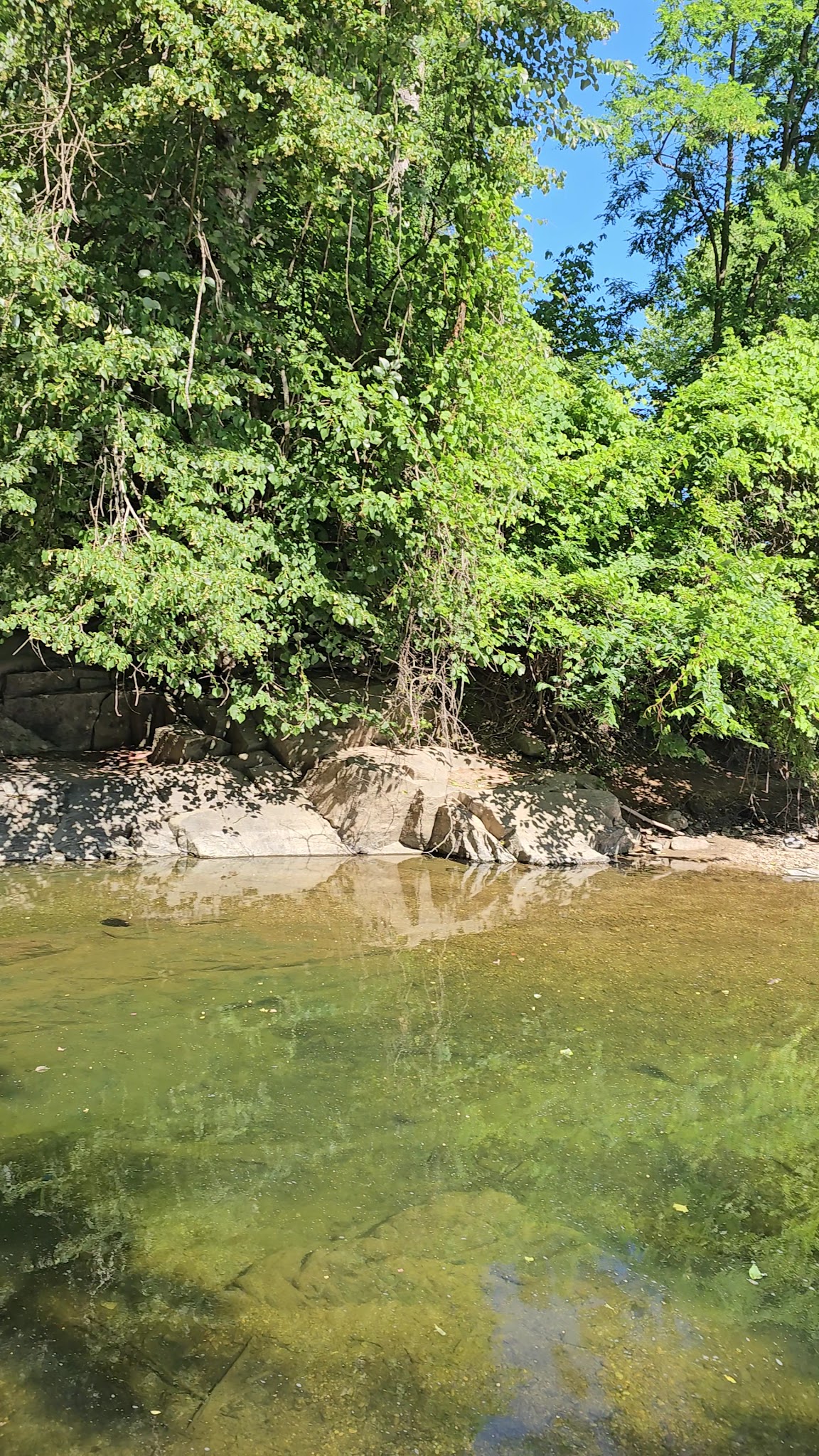 Scott's Run Nature Preserve Parking - McLean, VA