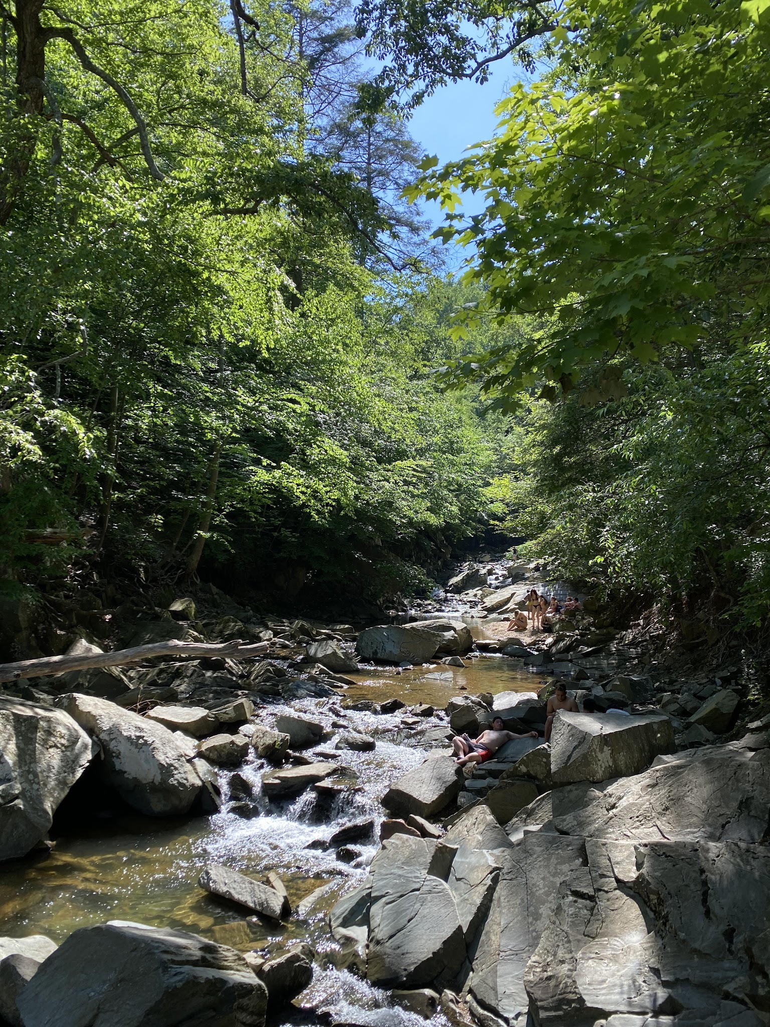 Scott's Run Nature Preserve Parking - McLean, VA
