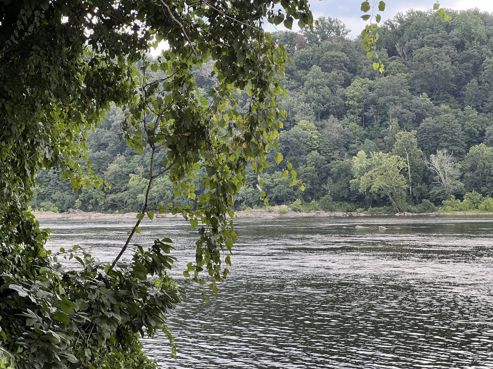 Scott's Run Nature Preserve Parking - McLean, VA