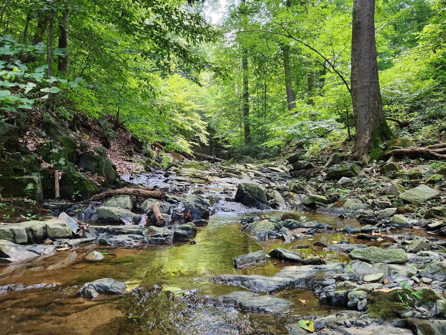 Turkey Run Park - McLean, VA