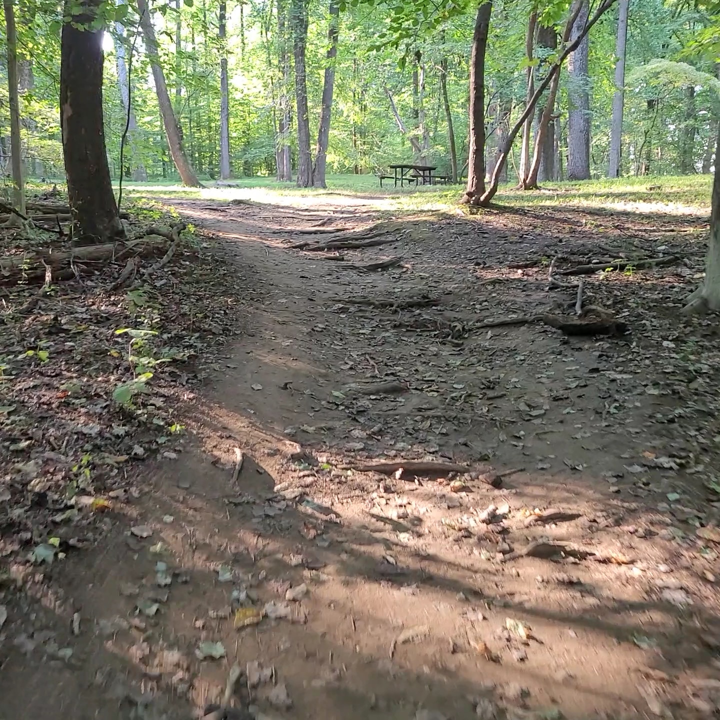 Turkey Run Park - McLean, VA