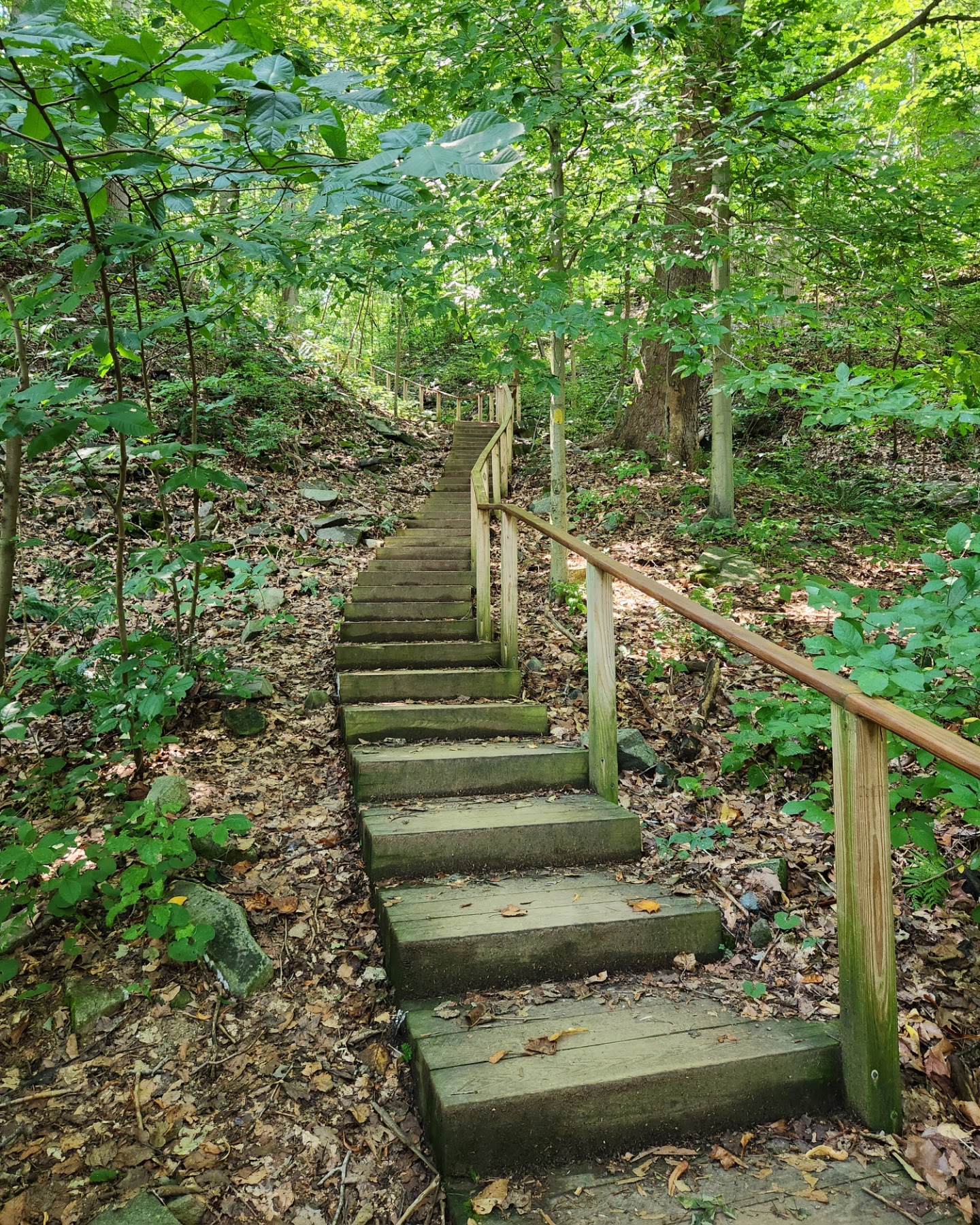 Turkey Run Park - McLean, VA