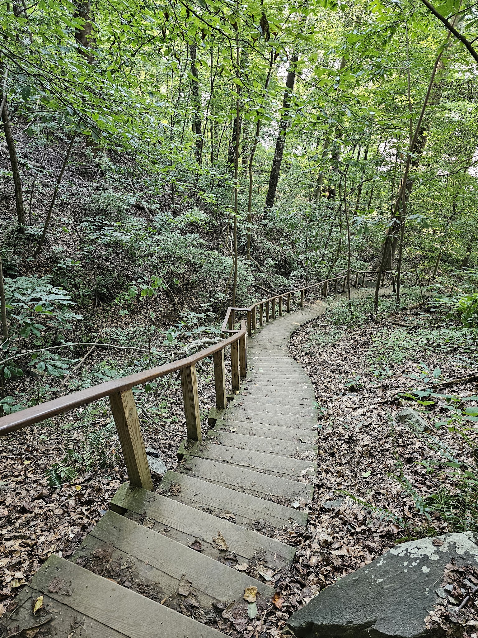 Turkey Run Trailhead - McLean, VA