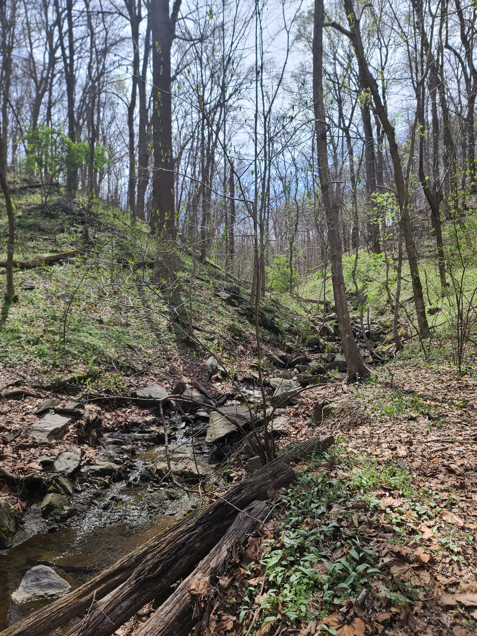 Turkey Run Trailhead - McLean, VA
