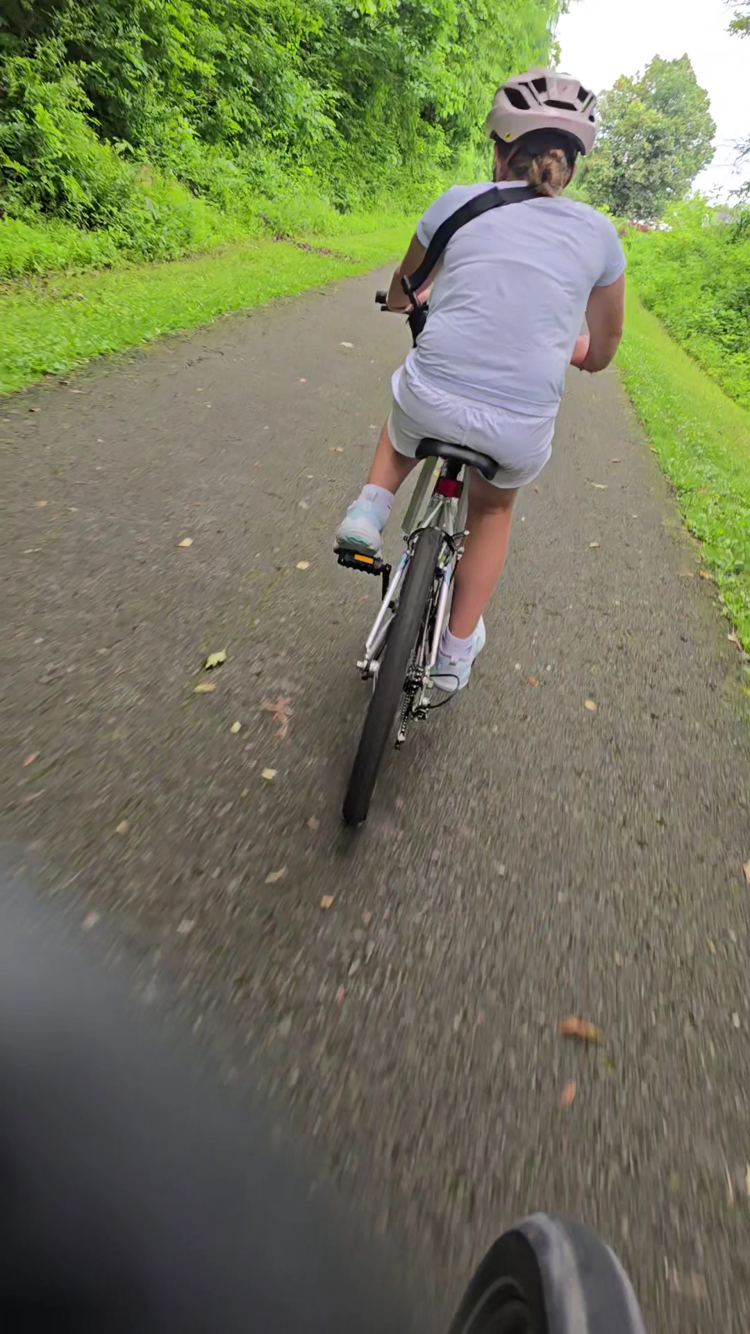 Montour Trail access trail - McMurray, PA