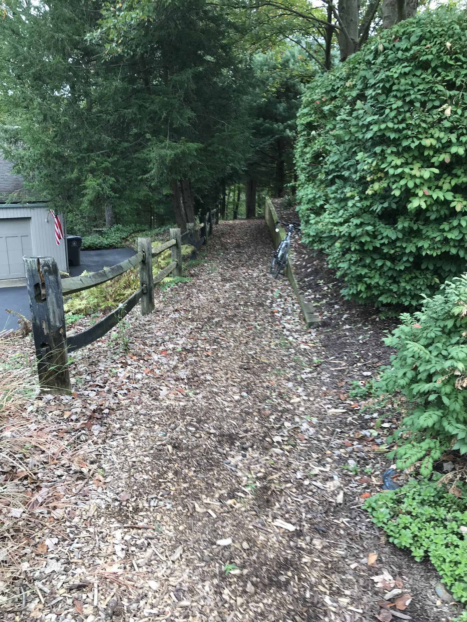 Montour Trail access trail - McMurray, PA