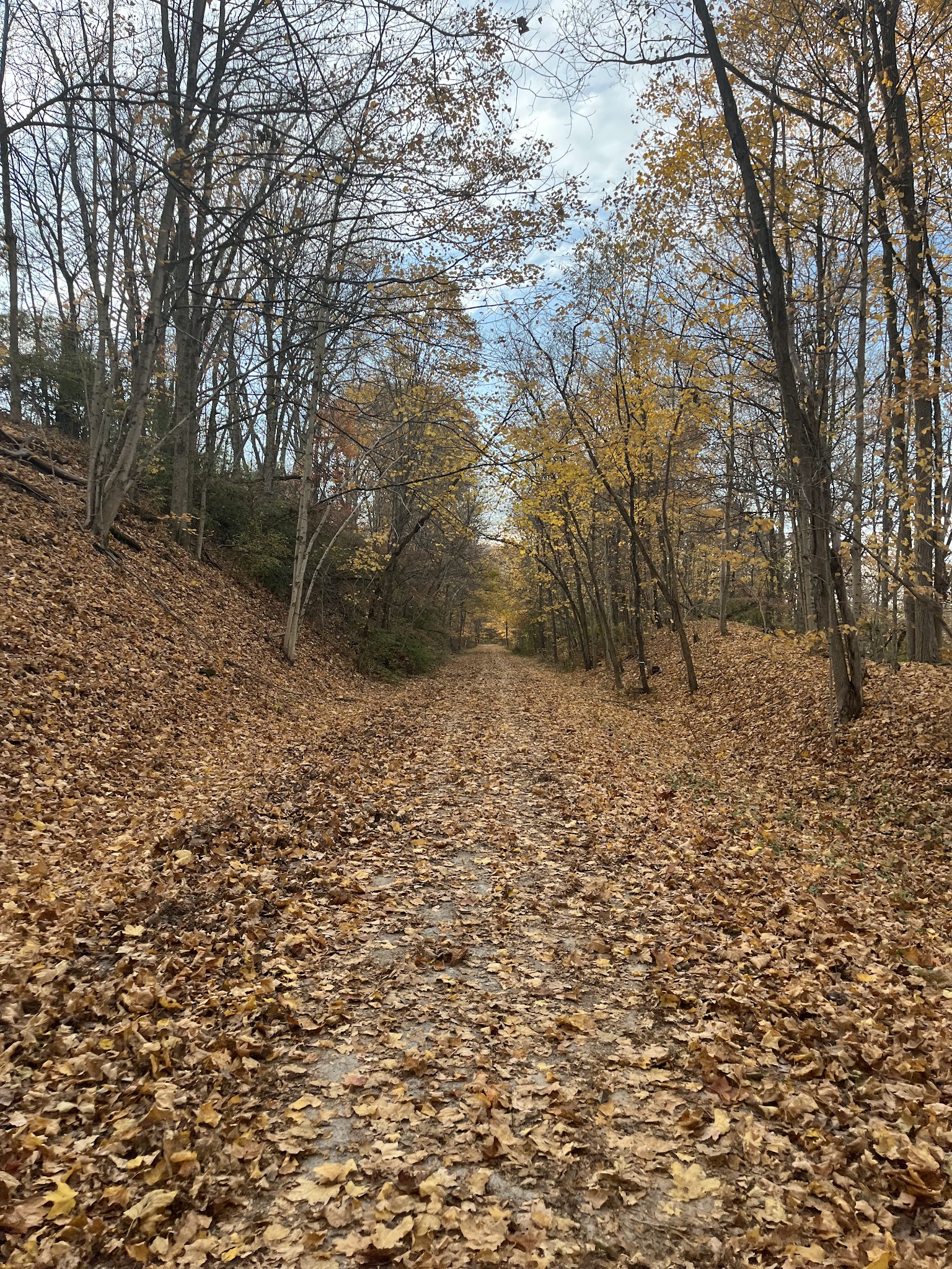 Montour Trail access trail - McMurray, PA