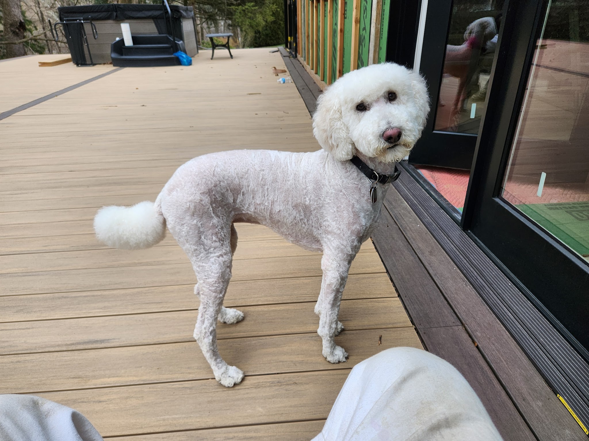 Nemacolin Wooflands Pet Care Center - McMurray, PA