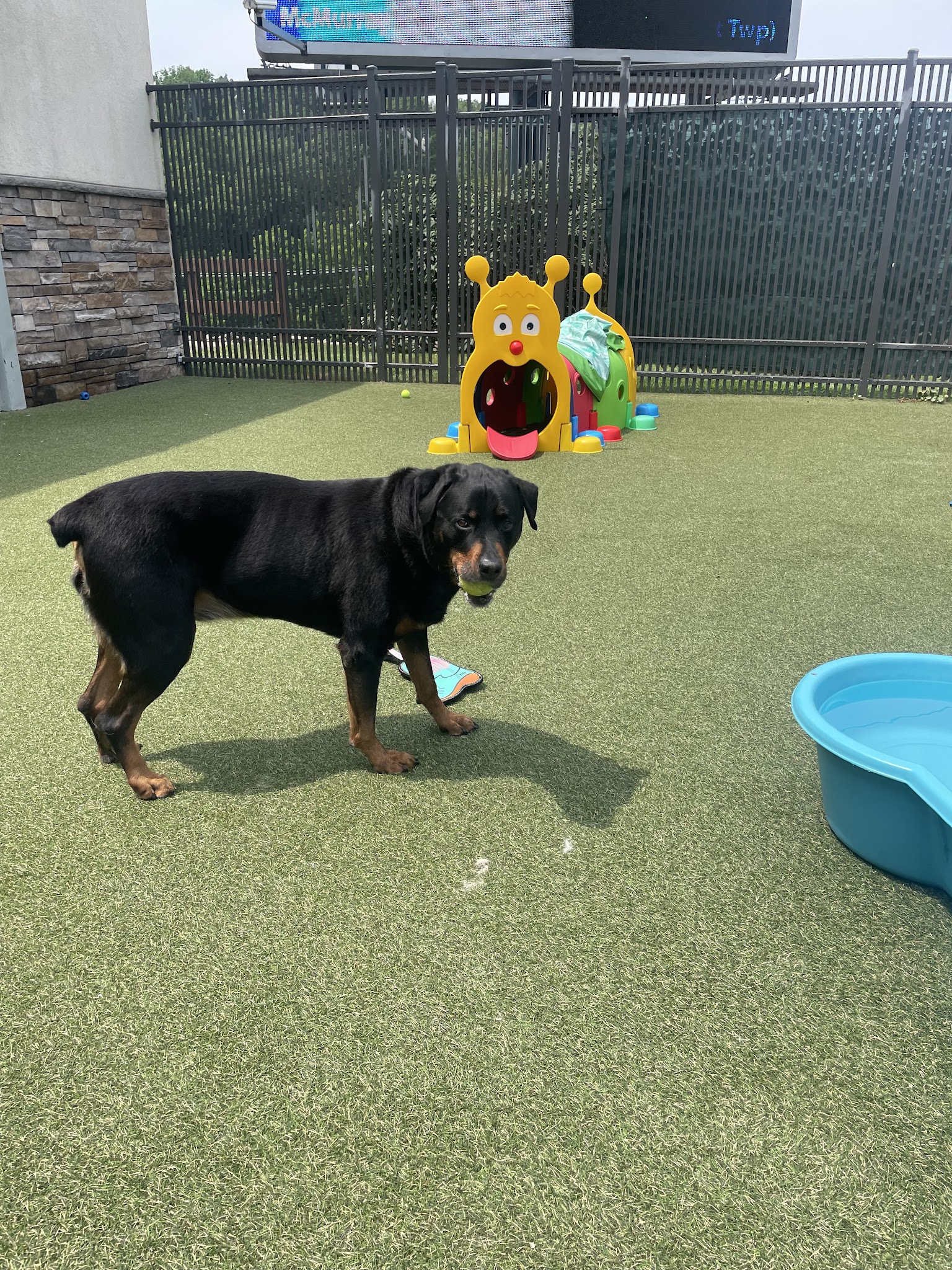 Nemacolin Wooflands Pet Care Center - McMurray, PA