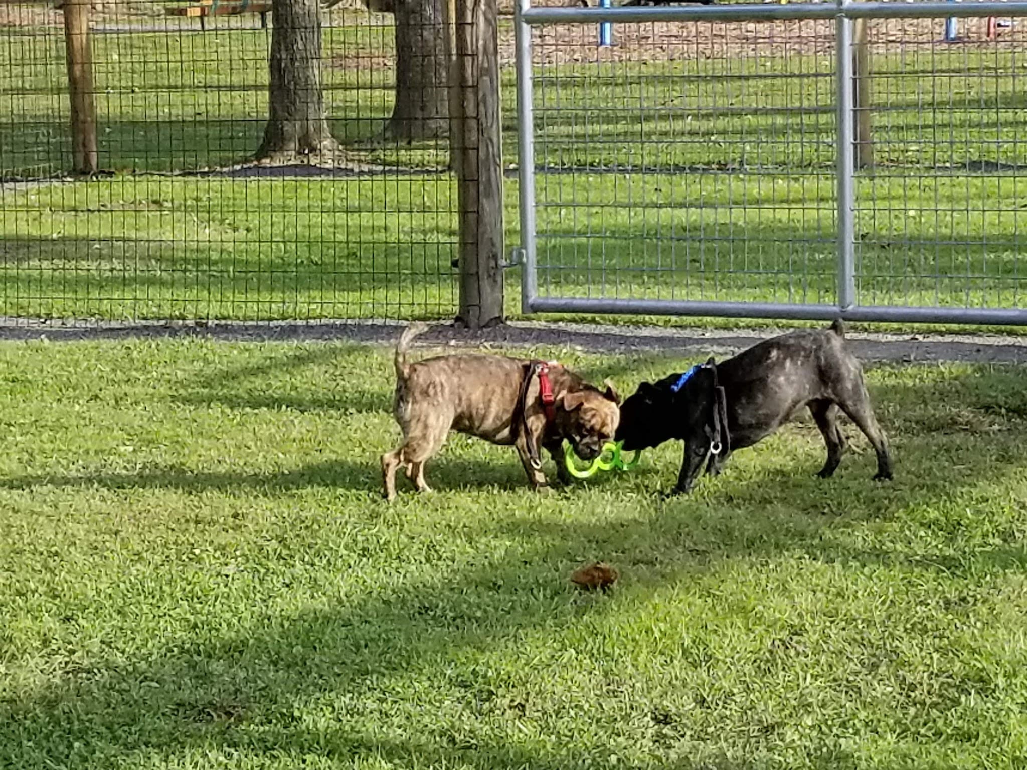 Charles Park - Middleburg, PA