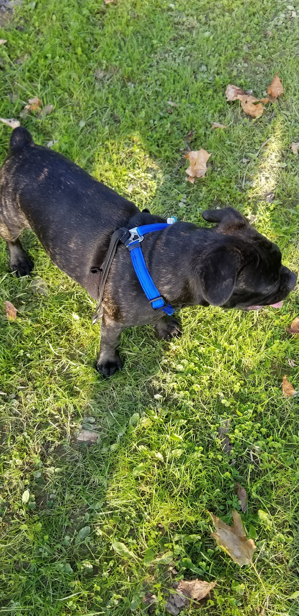 Charles Park - Middleburg, PA