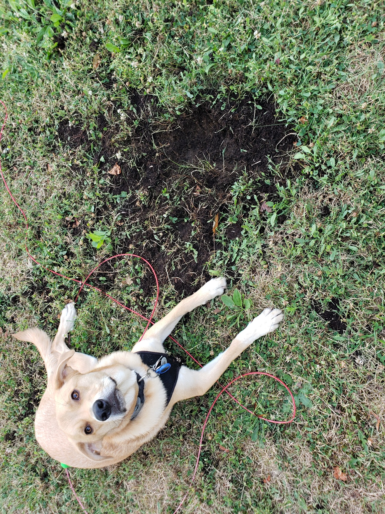 Countryside Park - Middletown Township, NJ