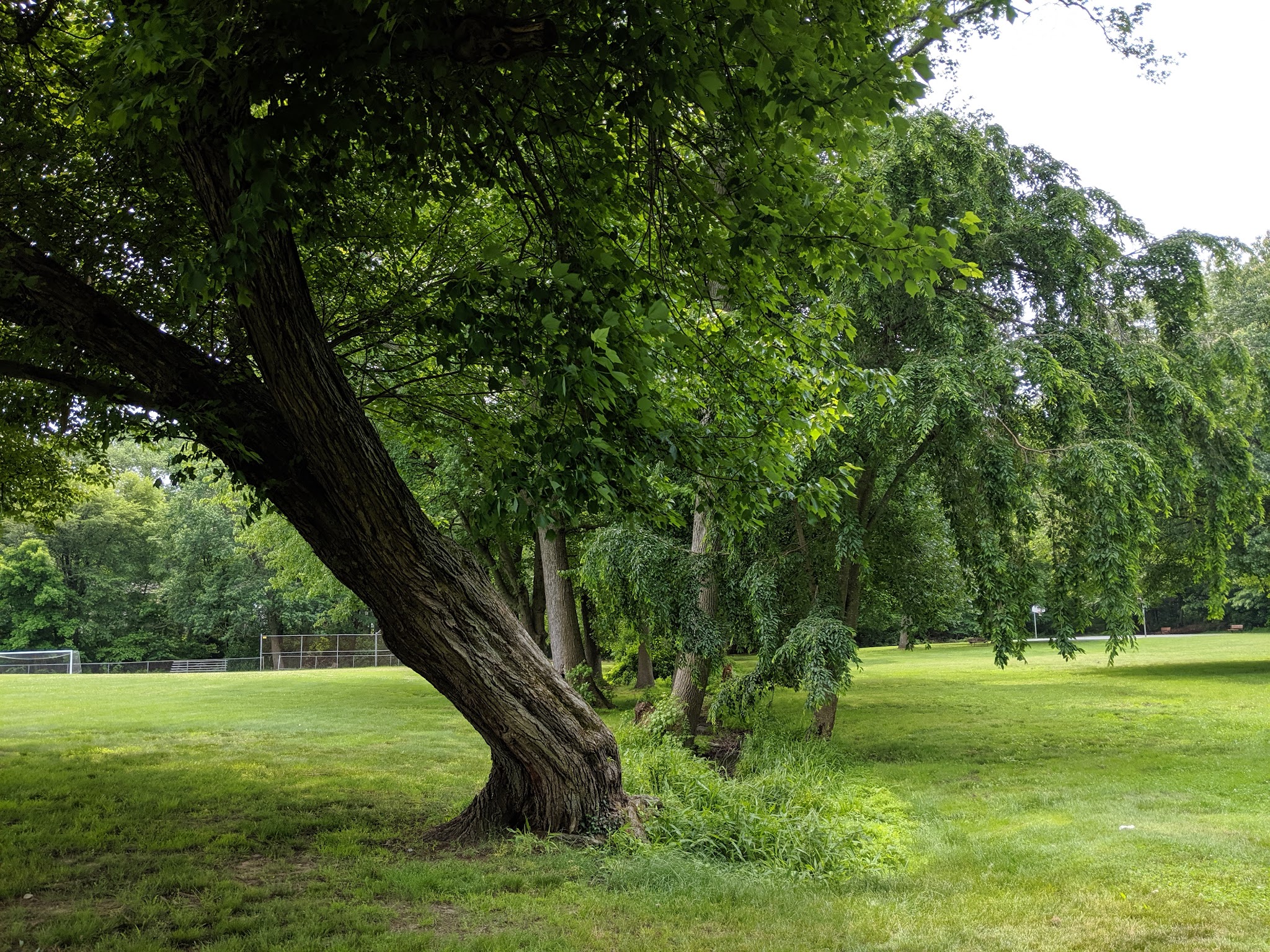 Evergreen Park - Middletown Township, NJ