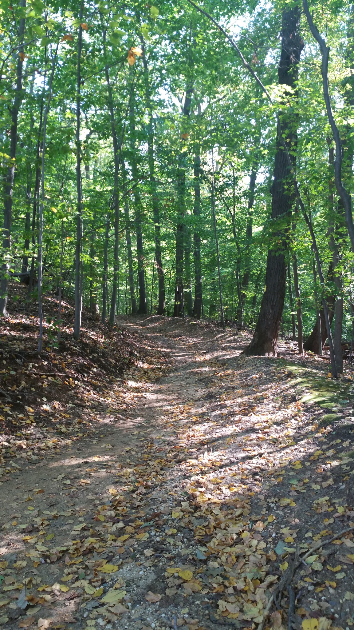 Tatum Park - Middletown Township, NJ