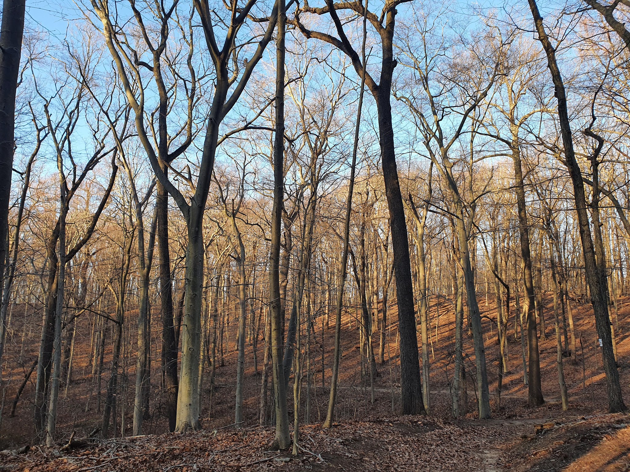 Tatum Park - Middletown Township, NJ