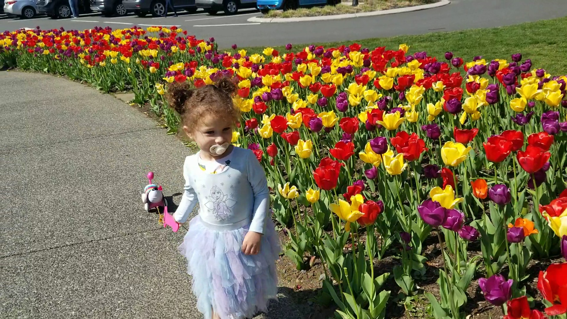 Tatum Park - Middletown Township, NJ