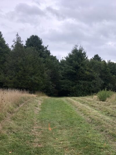 Oak Grove Playground - Millis, MA