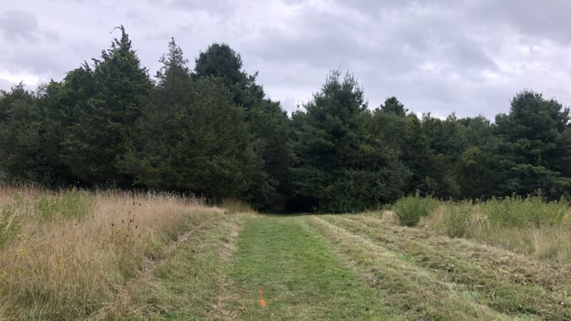 Oak Grove Playground - Millis, MA