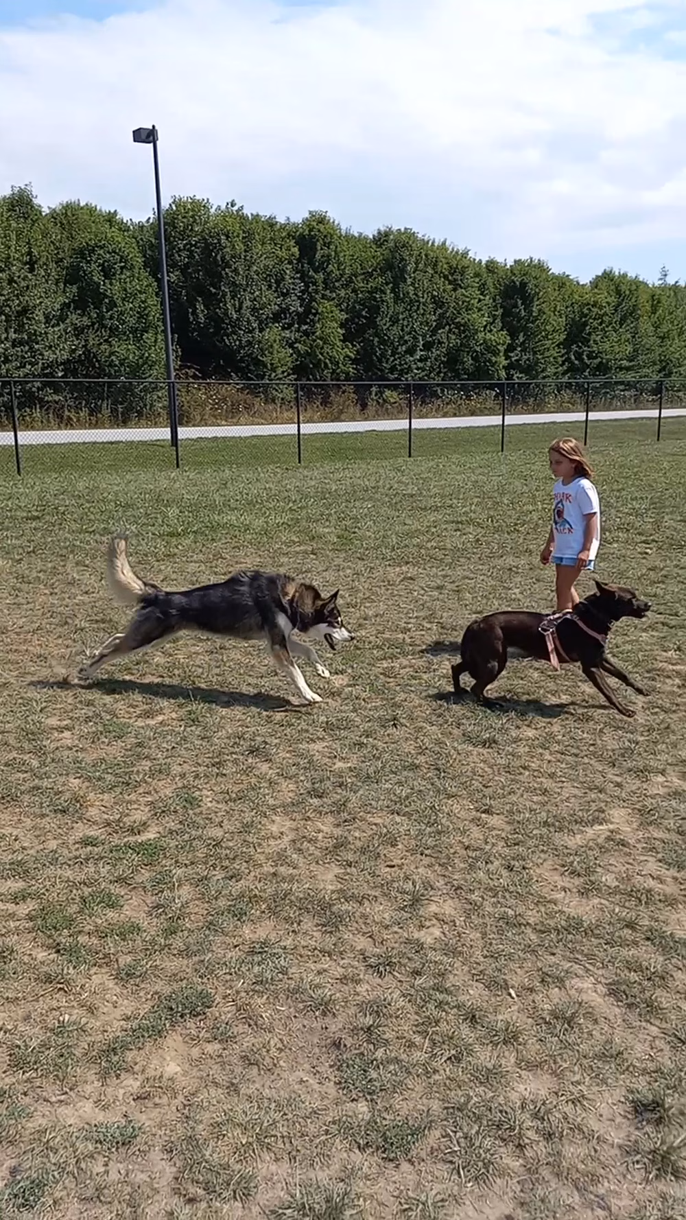 Mills River Dog Park - Mills River, NC