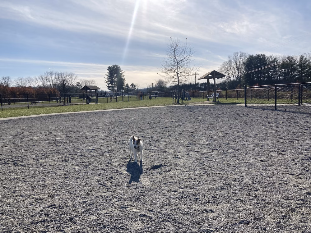 Mills River Dog Park - Mills River, NC