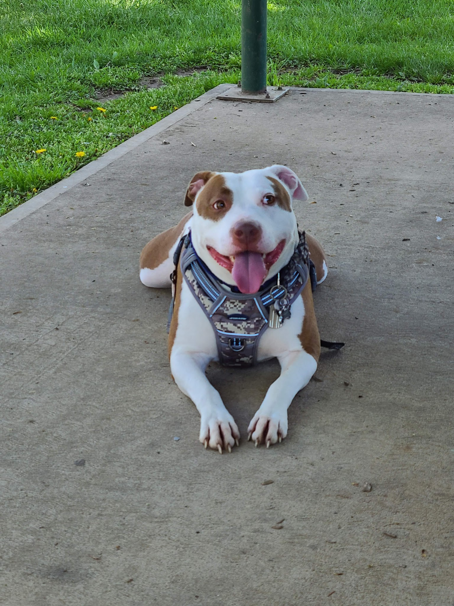 Lincoln Street Park - Milton, PA