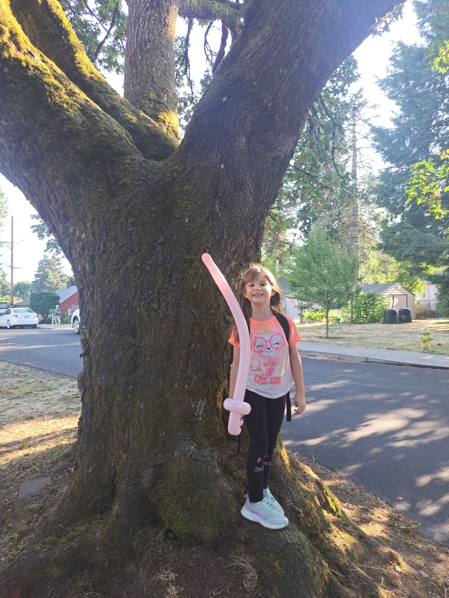 Ardenwald Park - Milwaukie, OR