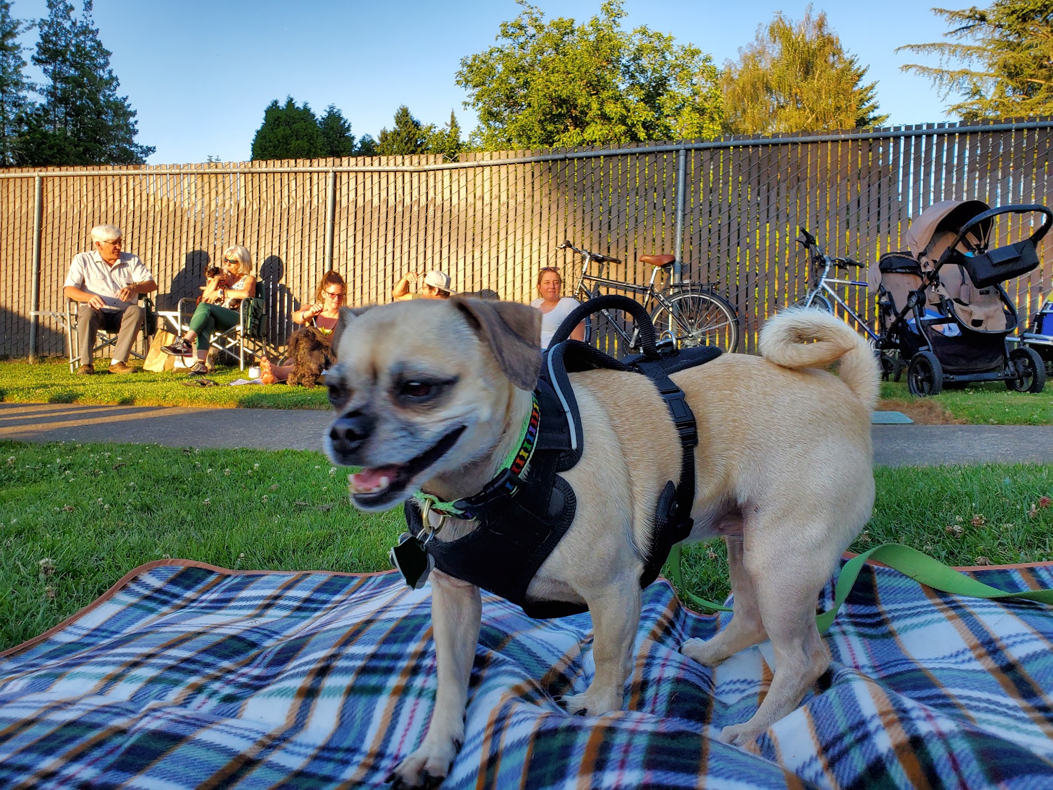 Ardenwald Park - Milwaukie, OR