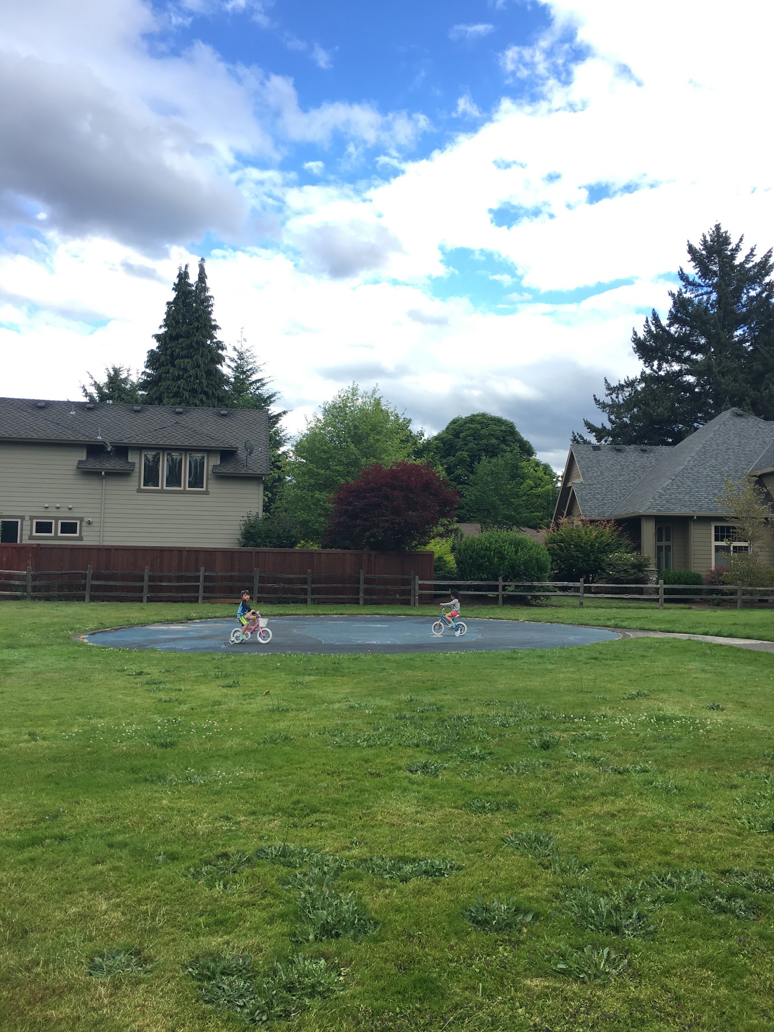 Heddie Notz Park - Milwaukie, OR