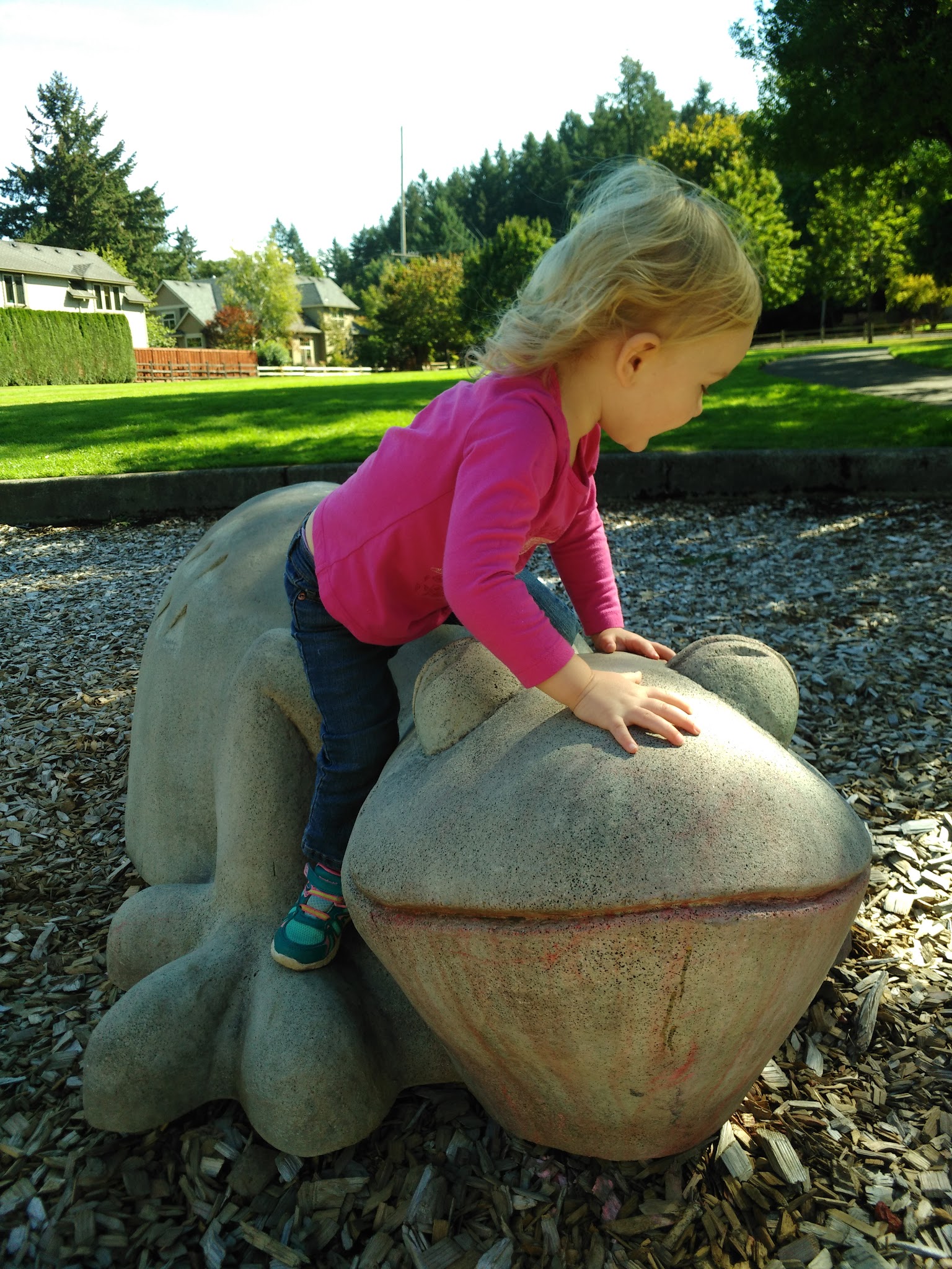 Heddie Notz Park - Milwaukie, OR