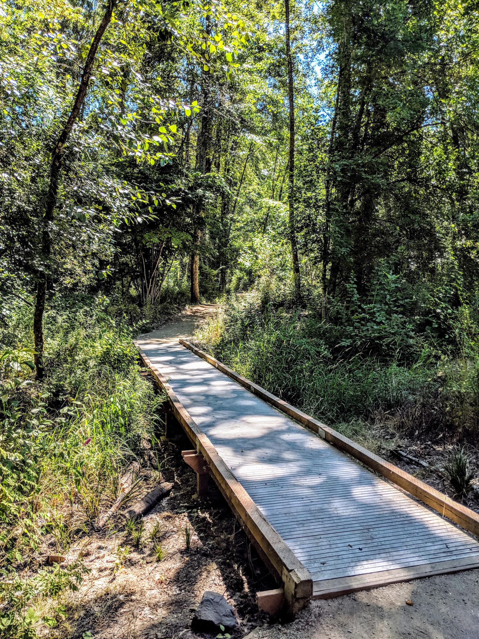 Spring Park Natural Area - Milwaukie, OR