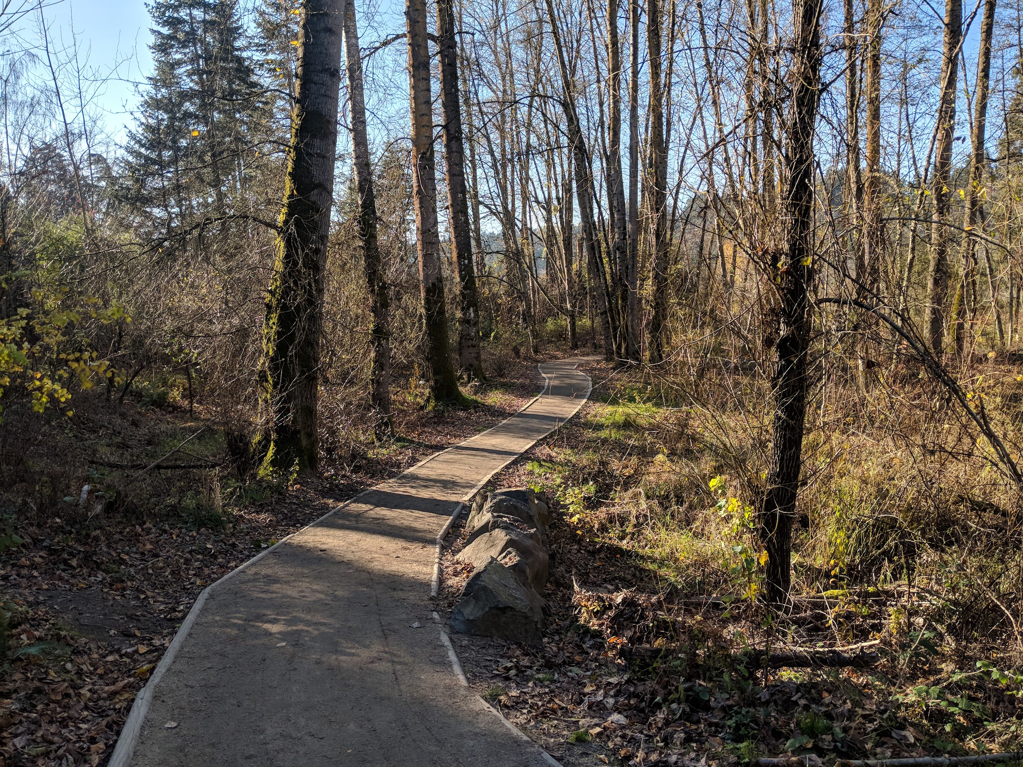 Spring Park Natural Area - Milwaukie, OR
