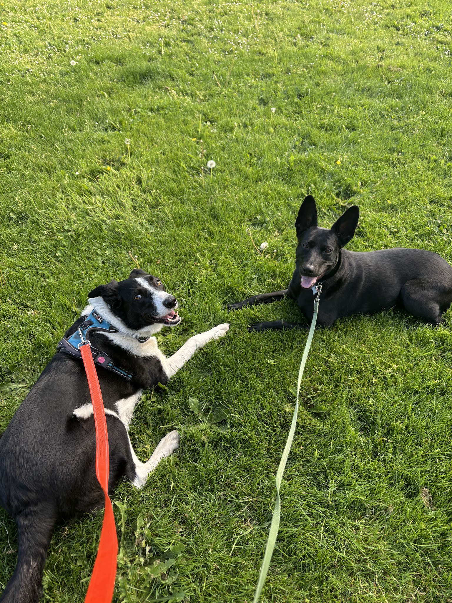 Stanley Park - Milwaukie, OR