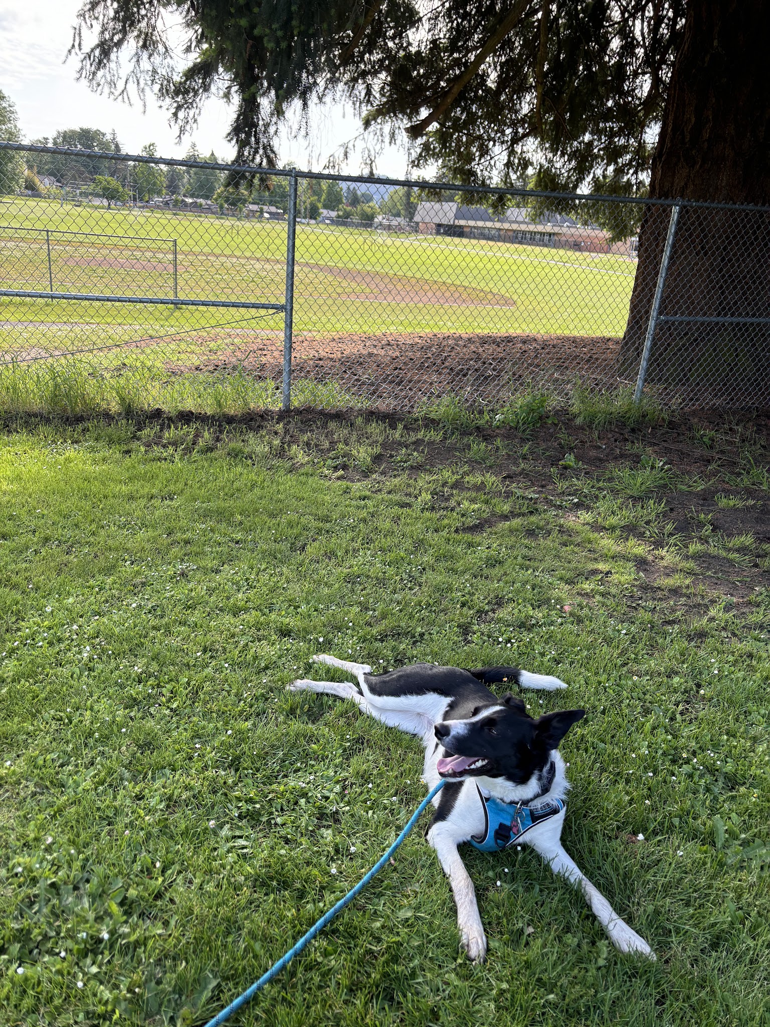 Stanley Park - Milwaukie, OR