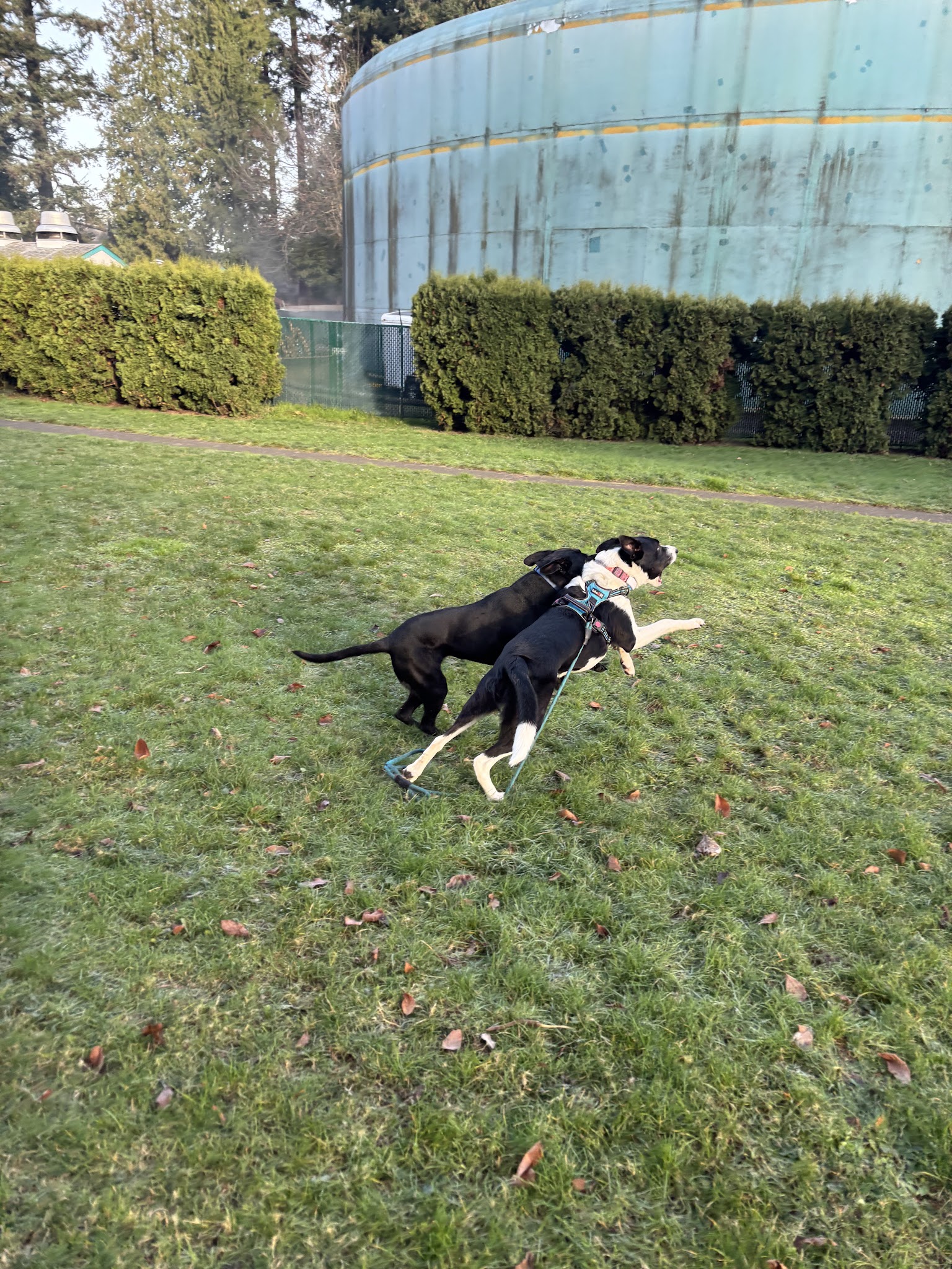 Stanley Park - Milwaukie, OR