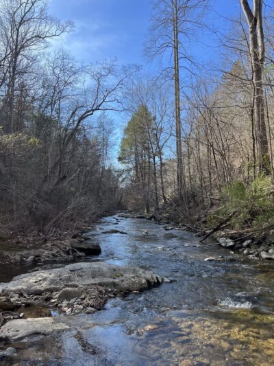 Otter Creek Recreation Area - Monroe, VA