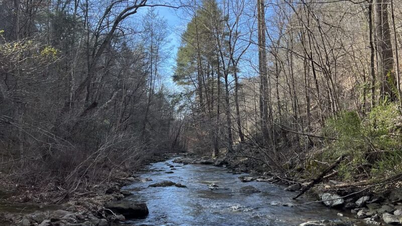 Otter Creek Recreation Area - Monroe, VA
