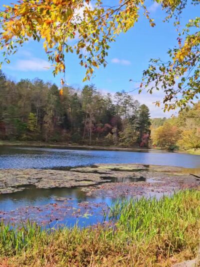 Otter Creek Recreation Area - Monroe, VA