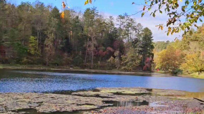 Otter Creek Recreation Area - Monroe, VA