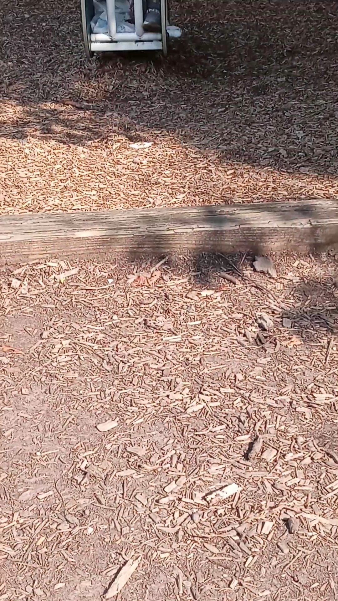 Moncure Park - Montclair, VA