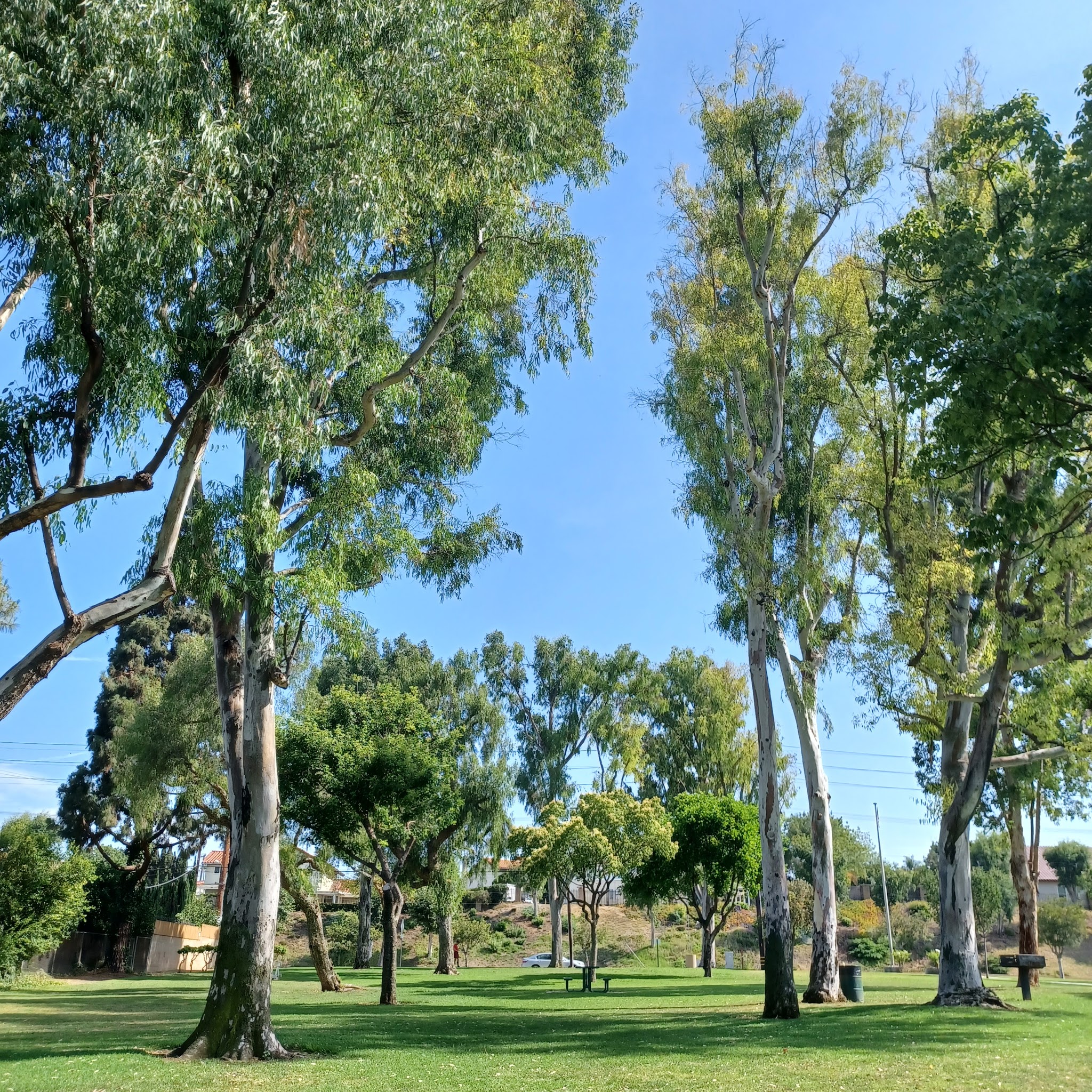 Acuna Park - Montebello, CA
