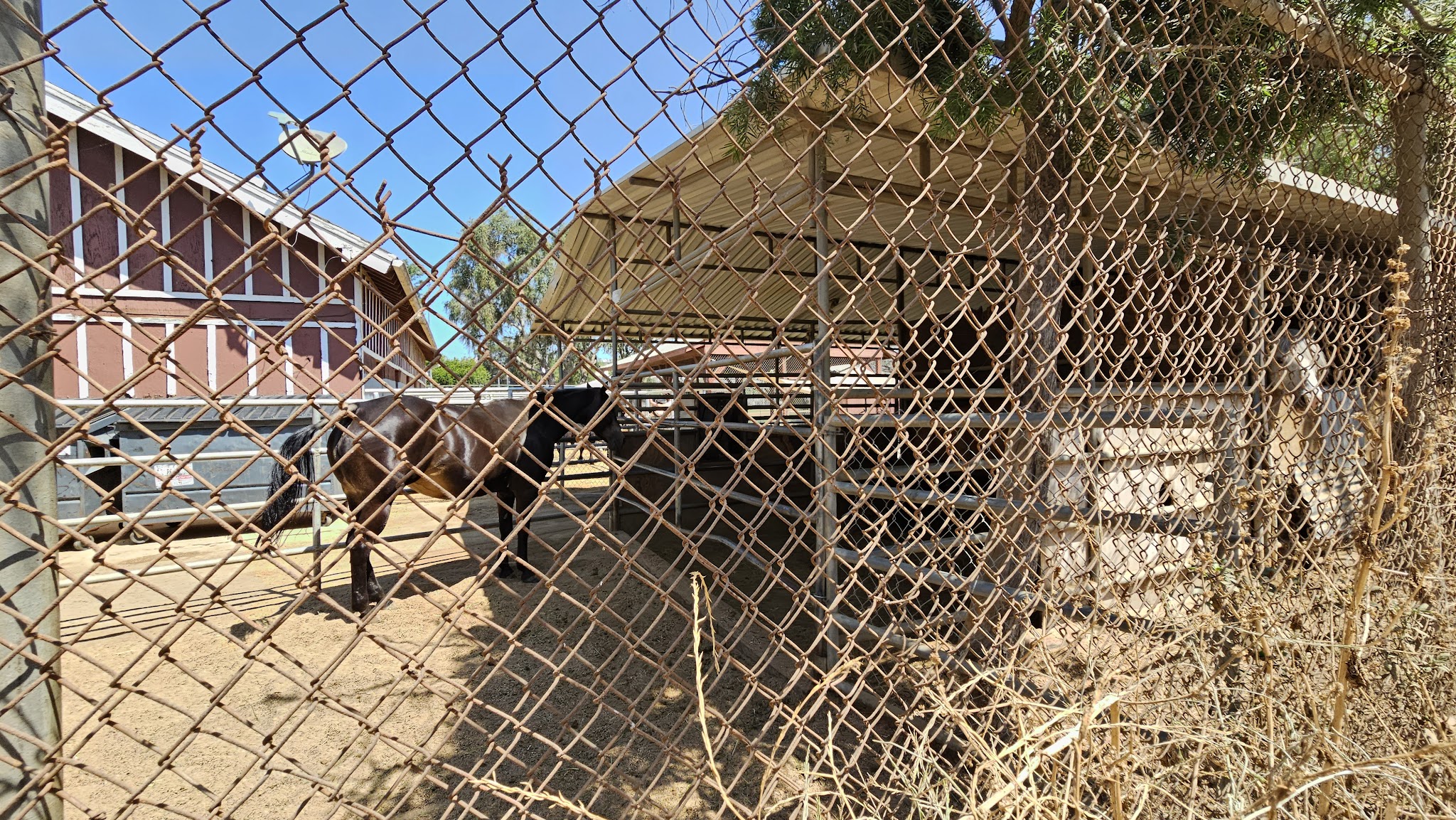 Grant Rea Park - Montebello, CA