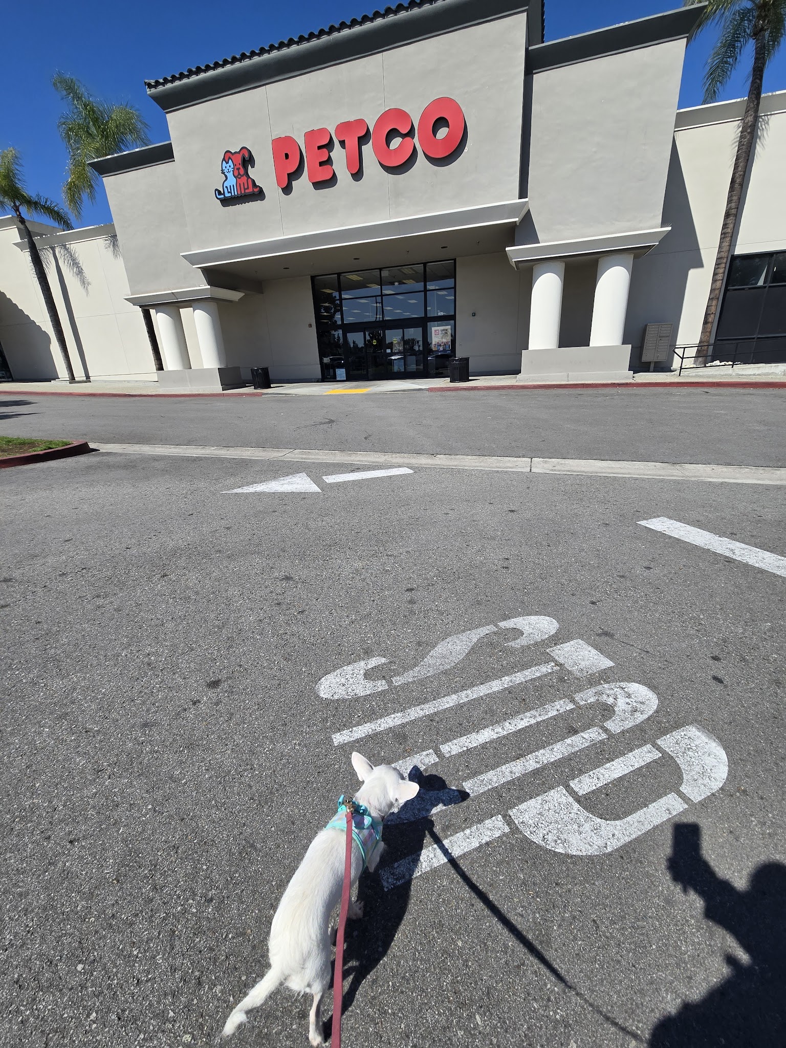 Petco - Montebello, CA