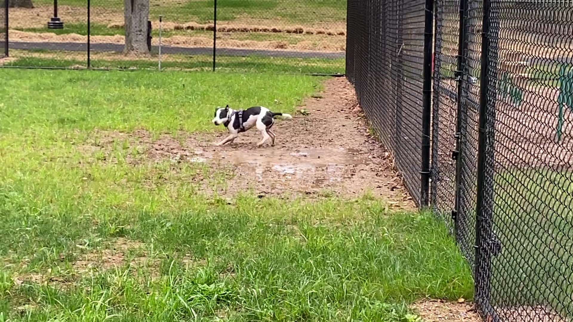 Trine Park - Mt Holly Springs, PA
