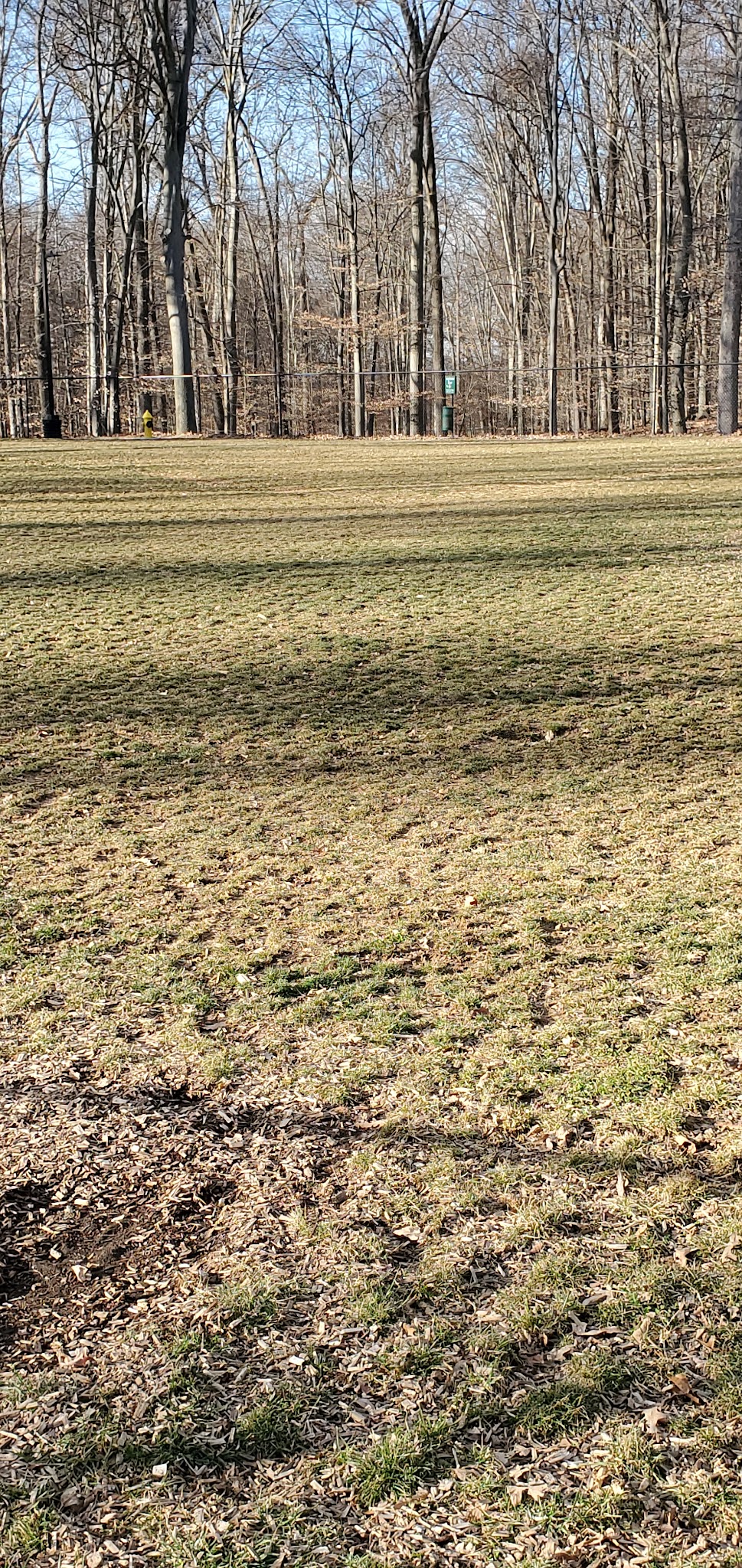 Trine Park - Mt Holly Springs, PA