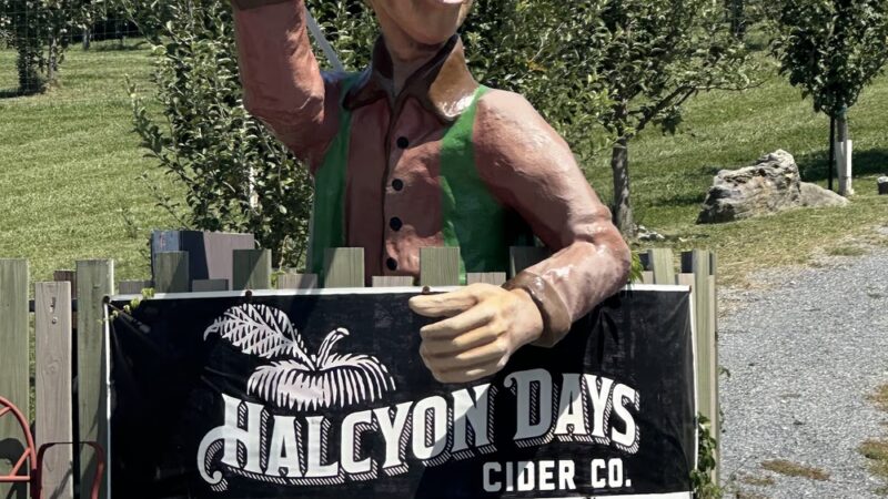 Halcyon Days Cider Co + Orchard Labyrinth - Natural Bridge, VA