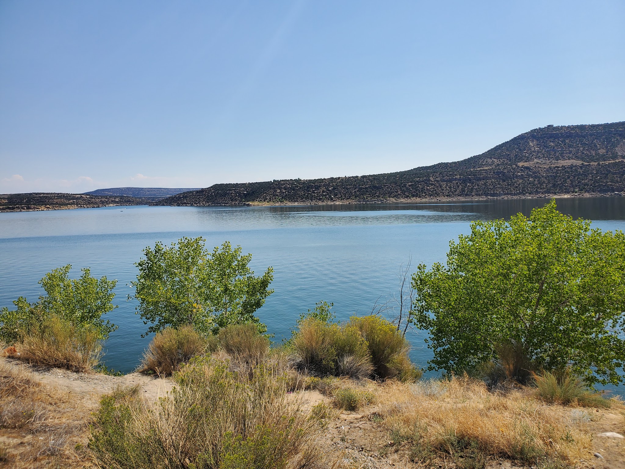 Navajo Lake State Park (Pine) - Navajo Dam, NM