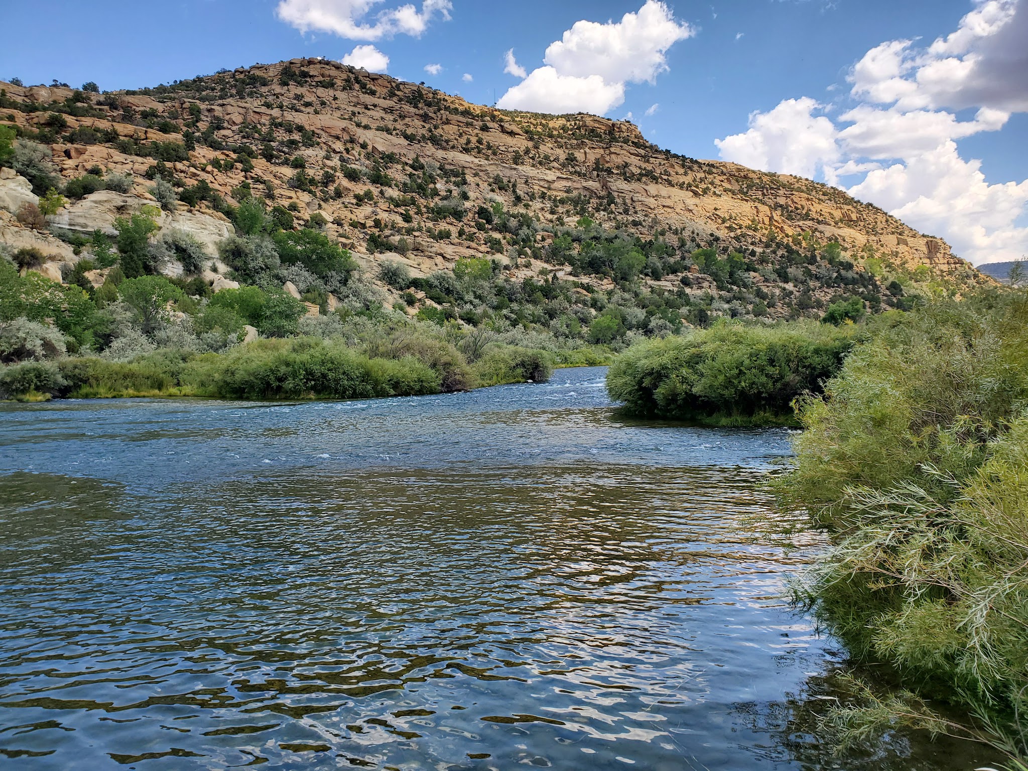 Navajo Lake State Park (Pine) - Navajo Dam, NM